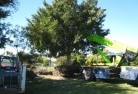 Renmark Southtree-management-services-4.JPG; ?>